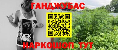дмт Будённовск