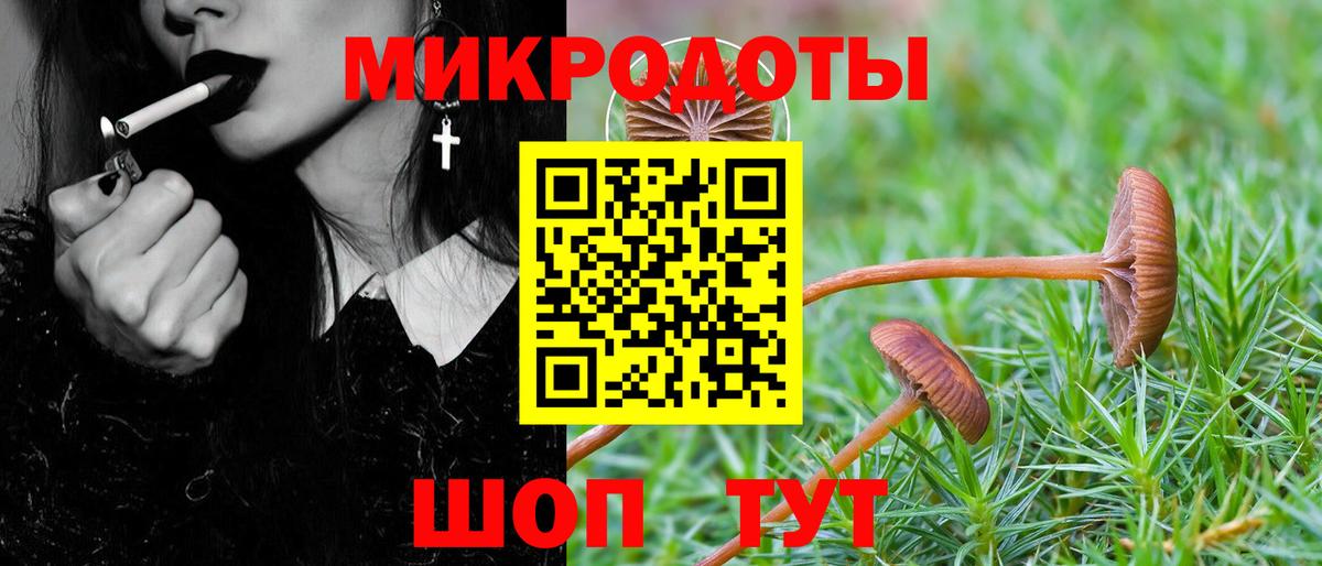 Псилоцибиновые грибы Cubensis Южно-Сахалинск
